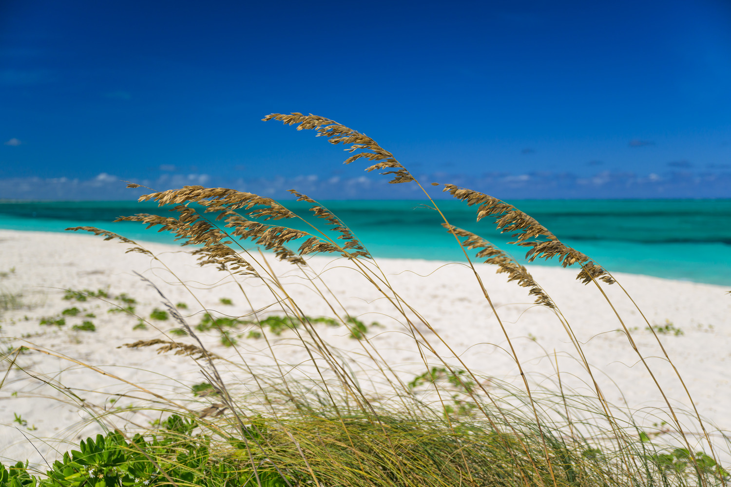 Bliss_Villa 4_16