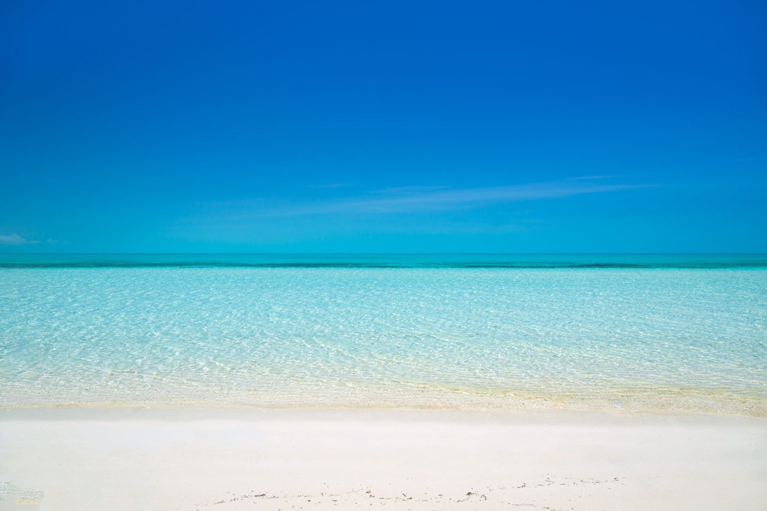 LDV_79 Ocean